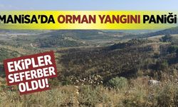Manisa'da orman yangını: Havadan ve karadan yoğun müdahale