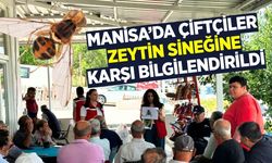 Manisa'da zeytin sineğine karşı biyoteknik mücadele seferberliği