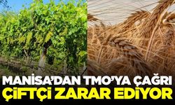 Manisa'dan TMO'ya Çağrı: 'Bu fiyatlarla Çiftçi Kazanamıyor'