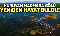Marmara Gölü yeniden hayat buldu!
