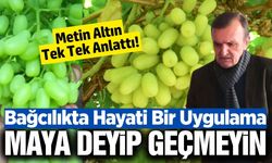 Metin Altın bağlarda 'Maya' kullanımının önemine dikkat çekti!