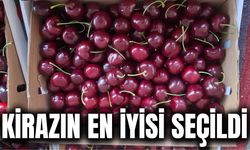 Manisa'da Kiraz Festivali Coşkusu: En Kaliteli Kirazlar Ödüllendirildi