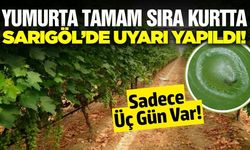 Sarıgöl'de bağcılara 'Kurt' uyarısı!