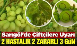 Sarıgöl'de üreticilere 3 gün içinde mücadele uyarısı