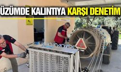 Sarıgöl'de doğru ilaçlama için teknik kontrol