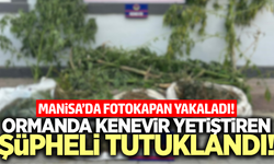 Sarıgöl'de uyuşturucu operasyonunda 1 tutuklama!