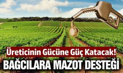 Tariş Üzüm Birliği'nden üreticilere mazot desteği