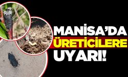 Tarım ve Orman Müdürlüğü Manisalı üreticileri uyardı!