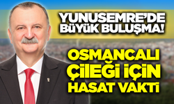 Yunusemre'de Festival Havası! Osmancalı Çileği için İlk Hasat Şenliği Başlıyor!