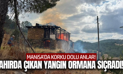 Manisa'da ahırda başlayan yangın ormana sıçradı