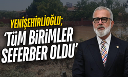 AK Partili Yenişehirlioğlu: "Devletin tüm ilgili kurumları sahada"