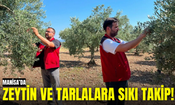 Akhisar’da Zeytin, Pamuk ve Sebze Tarlalarında Zararlı Mesaisi!