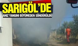 Sarıgöl'de anız ateşi: Ekipler sevk edildi