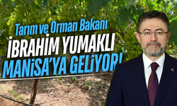 Bakan Yumaklı 'Manisa Üzüm Hasat Şenliği'ne geliyor!