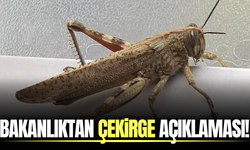 Bakanlıktan 'Çekirge İstilası' açıklaması!
