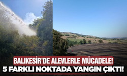 Balıkesir’de Korkutan Yangınlar: 5 Farklı Noktadaki Alevlere Havadan ve Karadan Müdahale!