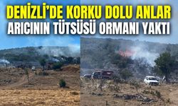 Denizli'de arıcının tütsüsü ormanı yaktı