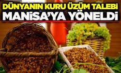 Manisa’dan dünya sofralarına milyon dolarlık lezzet: Kuru üzüm ihracatı zirvede