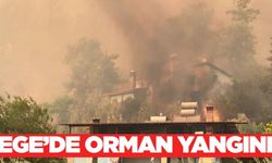Ege'de orman yangını: Müdahale devam ediyor