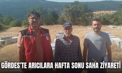 Gördes’te arıcılara hafta sonu saha ziyareti