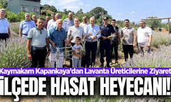 Manisa'nın ilçesinin tek lavanta bahçesinde hasat heyecanı!