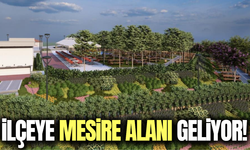 Selendi'ye nefes aldıracak yeni mesire alanı geliyor!