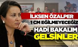 İlksen Özalper, "Hadi bakalım gelsinler"