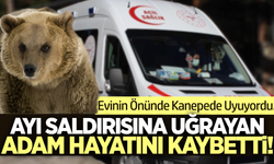 İzmir'de korkunç olay: Ayı saldırısı can aldı!