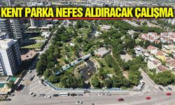 Kent Park'ta kötü koku ve sineğe karşı seferberlik