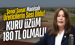 İYİ Partili Şenol Sunat: "Bağlar Sahipsiz, Üzüm Üreticisi Çaresiz"