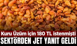 Kuru üzümdeki 180 TL isteğine cevap geldi: 'Fiyat için henüz erken'