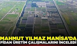 Manisa'da "Yeşil Vatan" için fidan seferberliği