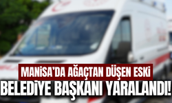 Manisa'da ağaçtan düşen eski belediye başkanı yaralandı!