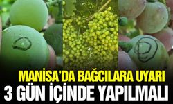 Üzüm üreticilerine müdürlükten uyarı!