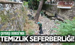 Manisa'da Çaybaşı Deresi'nde temizlik seferberliği!