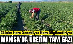 Manisa'da denetimeler sürüyor: Kavun, karpuz, sanayilik domates