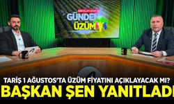 Ferhat Şen konuştu: 1 Ağustos'ta üzüm fiyatı açıklanacak mı?