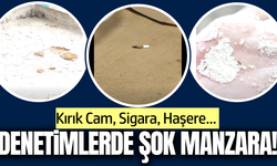 Manisa'da gıda işletmeleri mercek altında!