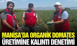 Manisa'da gıda güvenilirliğinin sağlanmasına yönelik denetim