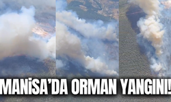 Manisa'da orman yangını: Havadan ve karadan müdahale ediliyor!