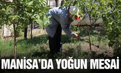 Manisa'da Park ve Bahçe ekiplerinden toprak bakımına yoğun mesai