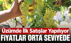 Manisa'da Üzüm Sezonu Hareketlendi: İlk Alım Fiyatları Belli Oldu