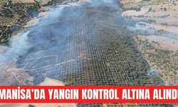 Manisa'da 15 hektar alan küle döndü