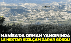 Manisa'daki Orman Yangını 3 Saatte Kontrol Altına Alındı