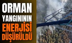 Manisa'da orman yangınına müdahale sürüyor!