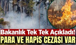 Orman yangınlarında cezalar çok ağır: Müebbete kadar gidiyor