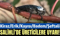 Salihli'de Fidan Dip Kurdu İçin Mücadele Dönemi Başladı