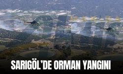 Sarıgöl'de orman yangını!