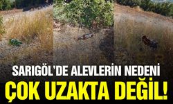 Sarıgöl'de yangın bölgesinde tepki çeken görüntü