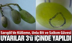 Sarıgöl'de bağcılara uyarı yapıldı! Şimdi de 3. nesil geliyor
